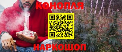 ПСИЛОЦИБИНОВЫЕ ГРИБЫ Нальчик