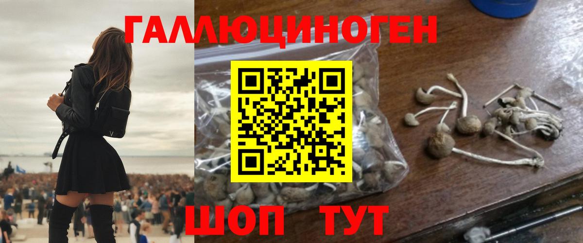 Галлюциногенные грибы GOLDEN TEACHER  Псилоцибиновые грибы мухоморы  Туапсе  Вход с VPN 